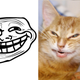 Illustration for article titled Cats Are Assholes